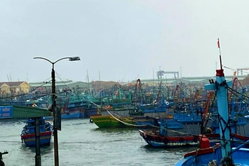 Tàu cá ngư dân vào tránh trú bão trong Cảng cá Quy Nhơn. (Ảnh: Đào Xuân Thiện)