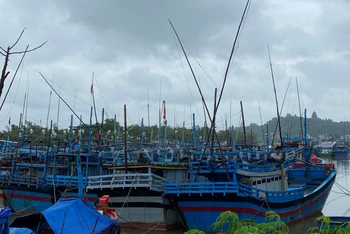 Tàu thuyền của ngư dân thành phố Tuy Hoà đã di chuyển, neo đậu an toàn bên trong sông Chùa, dọc đường Bạch Đằng, trú tránh bão số 12.
