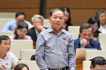 Đại biểu Quốc hội Lê Thanh Vân (Cà Mau).