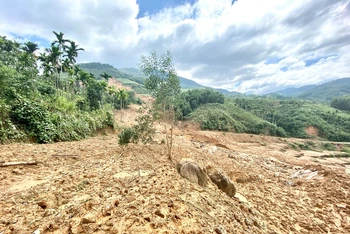 Sau những tiếng nổ trong lòng núi, “lũ bùn” san phẳng 3ha rừng, ruộng bậc thang và xóa sổ đường vào làng bản của xã Sơn Long.