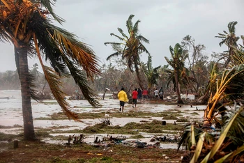 Bão quật đổ cây bên bờ biển Nicaragua. (Ảnh: Getty Images)