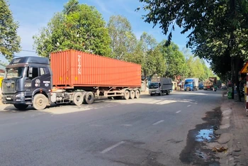 Xe container trở thành nỗi ám ảnh của người dân hai bên đường Bùi Hữu Nghĩa.