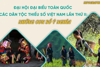 [Infographic] Đại hội đại biểu toàn quốc các dân tộc thiểu số Việt Nam lần thứ II: Những con số ý nghĩa