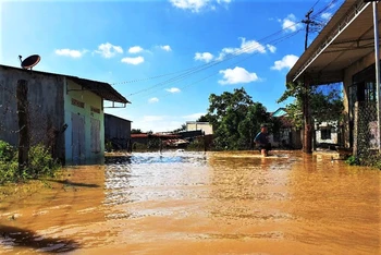 Nhiều nhà dân ở thị trấn Buôn Trấp, huyện Krông Ana bị ngập sâu trong nước.