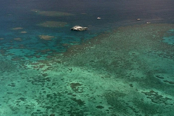 Biến đổi khí hậu khiến các rạn san hô bị tẩy trắng (Ảnh: AP)