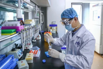 Một nhân viên kiểm tra mẫu vaccine Covid-19 tại nhà máy sản xuất vaccine của Tập đoàn Dược phẩm Quốc gia Trung Quốc (Sinopharm) ở Bắc Kinh, Trung Quốc ngày 11-4-2020. Ảnh: Tân Hoa Xã.