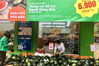 Siêu thị Hapromart Thành Công (Hà Nội) hỗ trợ nông dân tiêu thụ dưa hấu.