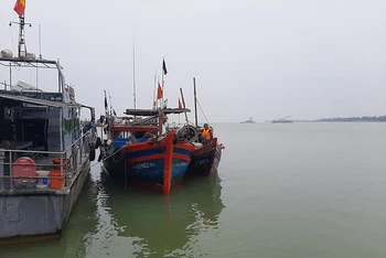 Các tàu vi phạm được đưa về cảng cá Cửa Hội.