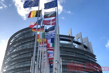 Trụ sở Nghị viện châu Âu ở TP Strasbourg của Pháp. 