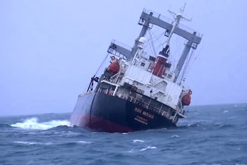 Tàu XIN HONG bị nạn tại vùng biển Phú Quý.