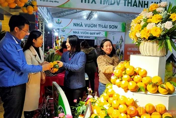 Khai mạc Lễ hội Cam và các sản phẩm nông nghiệp Hà Tĩnh lần thứ tư