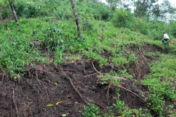 Một khu vực đồi núi bị sạt lở ở thôn Ea Uôl, xã Cư Pui.