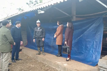 Cán bộ Chi cục Chăn nuôi, thú y và thủy sản tỉnh Thái Nguyên hướng dẫn nông dân huyên Phú Lương chống rét cho gia súc.