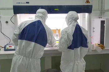 Xét nghiệm sàng lọc virus SARS-CoV-2 tại phòng xét nghiệm Bệnh viện đa khoa tỉnh Bình Thuận. (Ảnh: ĐÌNH CHÂU)