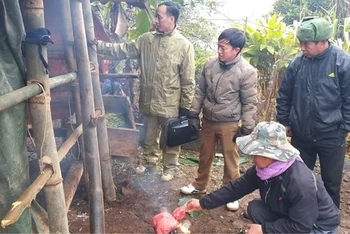 Cán bộ Phòng NN-PTNT huyện Tuần Giáo, tỉnh Điện Biên kiểm tra công tác bảo vệ gia súc tại cơ sở.