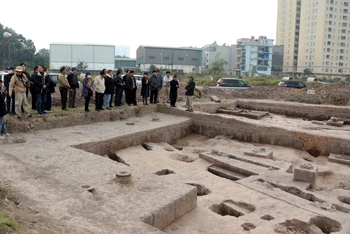 Các nhà khoa học khảo sát tại hiện trường khu khai quật ở gò Dền Rắn.