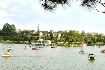 Dịch vụ du ngoạn thiên nga trên hồ Xuân Hương - Đà Lạt luôn hấp dẫn du khách.