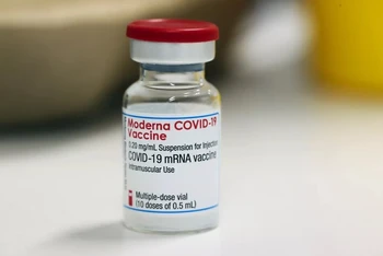 Lọ vaccine Covid-19 của Moderna. Ảnh: Getty Images.