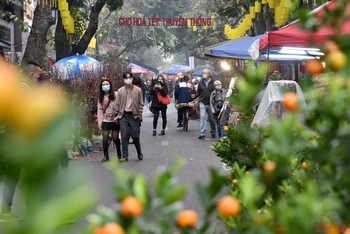 Chợ hoa Hàng Lược mỗi năm chỉ họp một phiên vào dịp Tết Nguyên đán