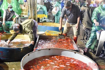 Chợ cá Yên Sở nhộn nhịp mua bán cá chép cúng ông Công, ông Táo