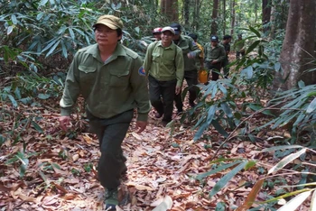 Lực lượng bảo vệ rừng chuyên trách của VQG Chư Mom Ray phối hợp với cộng đồng dân cư tuần tra, kiểm tra công tác PCCCR.