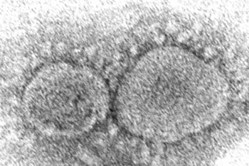 Hình ảnh phần tử virus SARS-CoV-2 gây ra Covid-19 qua kính hiển vi điện tử do Trung tâm Kiểm soát và Phòng ngừa Dịch bệnh Mỹ cung cấp. 
