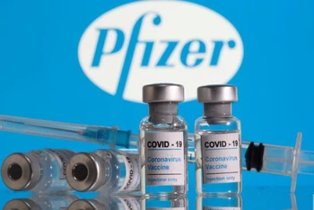 Lọ vaccine ngừa Covid-19 đặt trước logo Pfizer được chụp vào ngày 9-2. Ảnh: Reuters.