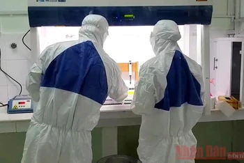 Xét nghiệm sàng lọc SARS-CoV-2 tại Khoa xét nghiệm Bệnh viện đa khoa tỉnh Bình Thuận. Ảnh: Đình Châu.