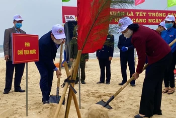 Phó Chủ tịch nước Đặng Thị Ngọc Thịnh trồng cây đầu xuân Tân Sửu tại Quảng Bình.