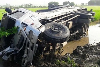 Xe tải trong vụ tai nạn lao xuống ruộng lúa. (Ảnh: CTV)