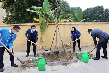 T.Ư Đoàn TNCS Hồ Chí Minh, Thành đoàn Hà Nội và các đơn vị liên quan tham gia trồng cây hưởng ứng Tháng Thanh niên năm 2021 và Tết trồng cây xuân Tân Sửu. 