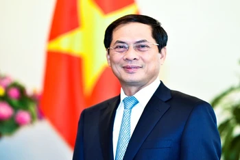 Đồng chí Bùi Thanh Sơn, Ủy viên Ban Chấp hành Trung ương Đảng, Thứ trưởng Thường trực Bộ Ngoại giao. (Ảnh: Bộ Ngoại giao)