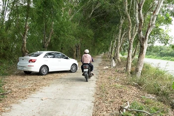 Tuyến đường tuần tra quản lý bảo vệ rừng trong VQG U Minh Thượng (có sai phạm).