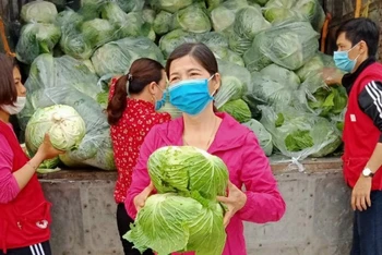 Hội Phụ nữ cơ sở ở Vũ Thư (Thái Bình) thu mua nông sản, bán hoặc phát miễn phí cho hội viên.