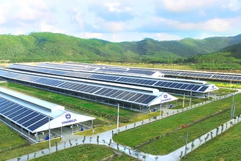 Trang trại Vinamilk Quảng Ngãi đã hoàn thiện và đưa vào hoạt động hệ thống năng lượng mặt trời.