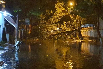 Tuyến đường Ngô Quyền, TP Kon Tum bị ngập cùng cây gãy chắn ngang đường, khiến cho người dân không lưu thông được.