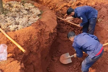 Lực lượng chuyên trách mở rộng khu vực tìm kiếm các phần mộ liệt sĩ ở khu vực ấp Măng Cải, xã Lộc Thiện, huyện Lộc Ninh.