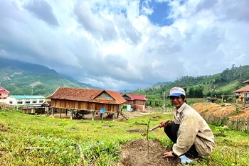 Vào làng thanh niên lập nghiệp, Đinh Văn Soi có được nhà cửa, vườn bưởi trên đồi là cơ hội thoát cái nghèo bao năm.