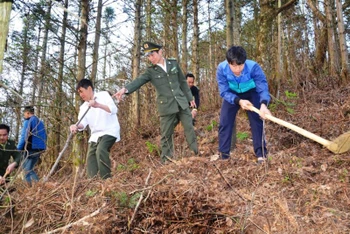 Lực lượng kiểm lâm Vườn quốc gia Hoàng Liên cùng người dân địa phương thường xuyên kiểm tra, phát dọn cây cỏ khô, phòng ngừa cháy rừng xảy ra trong mùa hanh khô.