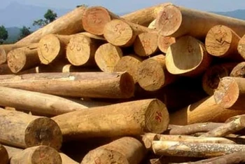 Ba tháng đầu năm xuất siêu gỗ và lâm sản tăng 43,4% so cùng kỳ.