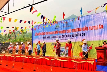 Khởi công nhà máy chế biến quế hữu cơ xuất khẩu tại huyện Văn Bàn - Lào Cai.