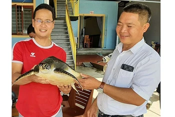 Anh Nguyễn Quốc Cường (bên phải), bàn giao cá thể rùa biển cho đại diện Chi cục Thủy sản Quảng Bình.