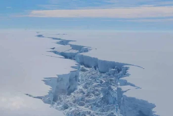 Một vết nứt trên thềm băng Larsen C, Nam Cực do Cơ quan Khảo sát Nam Cực của Anh phát hiện từ tháng 2-2017. Ảnh: Getty Images.