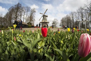 Hà Lan chào đón du khách đến vườn hoa nổi tiếng Keukenhof
