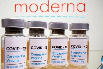 Bộ Y tế chưa nhận được hồ sơ xin phê duyệt nhập khẩu vaccine Moderna