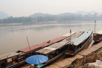 Tàu, thuyền trên sông Mê Kông tại Lào hiện bị ngưng hoạt động hoặc đưa lên bờ nhằm ngăn chặn việc đưa người vượt biên trái phép.