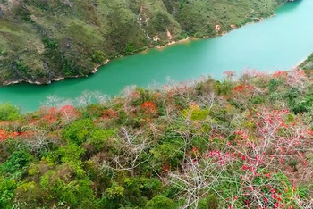 Hình ảnh hoa gạo (mộc miên) bên dòng sông Nho Quế trong MV.