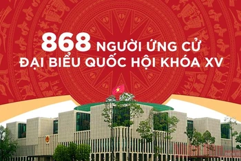 [Infographic] 868 người ứng cử đại biểu Quốc hội khóa XV