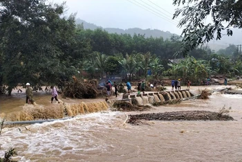 Ảnh minh họa.