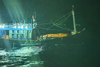 Tàu SARS 412 tiếp cận tàu cá ngay trong đêm, cứu tính mạng của thuyền trưởng tàu cá. 